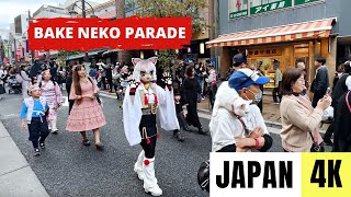 TOKYO, JAPAN 🇯🇵 [4K] BAKE NEKO Parade — SUPERNATURAL CAT Festival — OCTOBER 2023