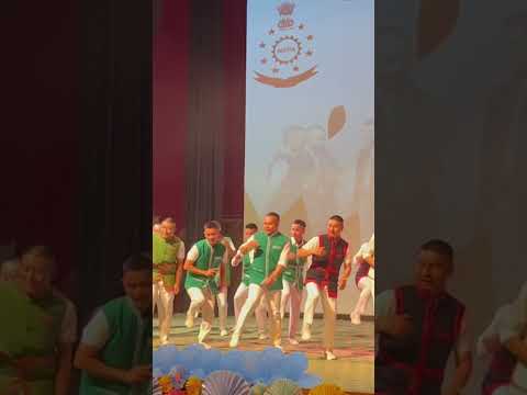 dance cultural programme #nepa #dance #trending #music #nepalisong