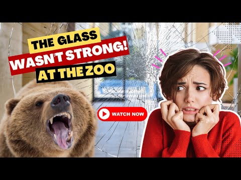 10 Times glass wasn't strong enough at zoos