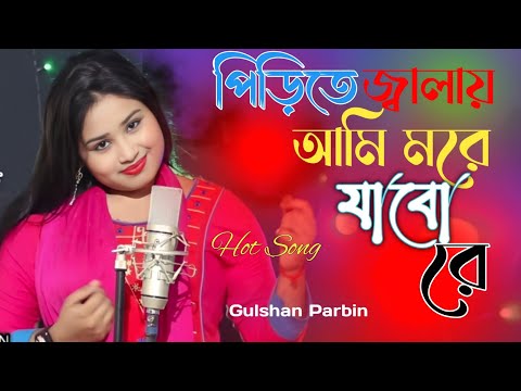 পিরিতের নেশায় আমি মরে যাবো রে /More Jobo More Jabo Re /New Bangla song by gulshana Parbin