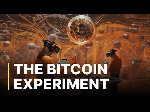 The Bitcoin Experiment | A Crazy Idea Let Loose