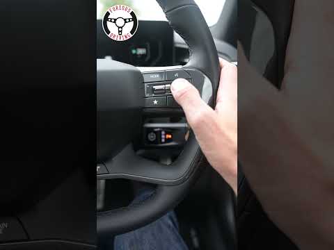 EV9 speed limit alert delete hack!