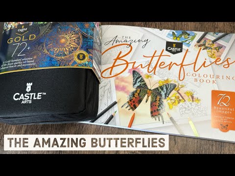 The Amazing Butterflies colouring book Review and colour - Castle Arts