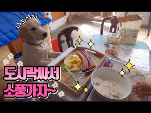 #26 [귀촌 브이로그] 날마다 소풍~ 김밥싸서 소풍 가요!