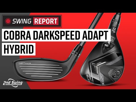 Cobra DS-ADAPT Hybrid | The Swing Report