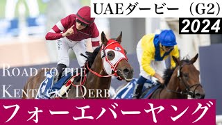 「フォーエバーヤング、無傷の5連勝！」ケンタッキーダービーへの切符を掴む【UAEダービー2024】/ Forever Young【UAE Derby 2024】