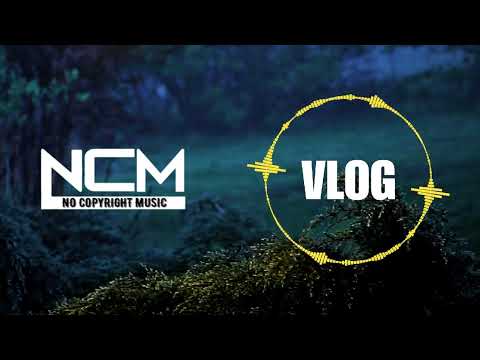 No Copyright Music | Forest Travel | Best Of Vlogs Copyright free Background music For Video | NCM