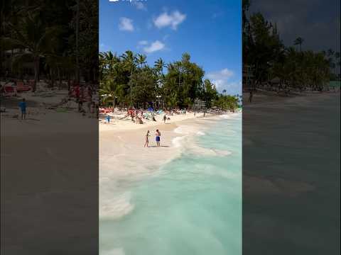 Punta Cana Vacation #shortvideo #puntacanabeach