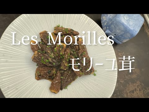 Morilles aux fines herbes/Morels with herbs/モリーユ茸の香草ソテー