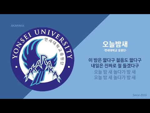 오늘밤새