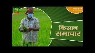 Watch latest news coverage on DD Kisan's daily news bulletin 'Kisan Samachar' |Nov. 18, 2024