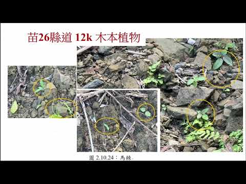 「20240924 無人機邊坡噴植技術研發及測試驗證 (邵珮琪)」