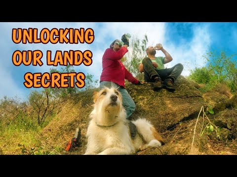 Uncovering MORE Ancient Stone Terraces and Canals on our Off Grid Homestead - Time-lapse