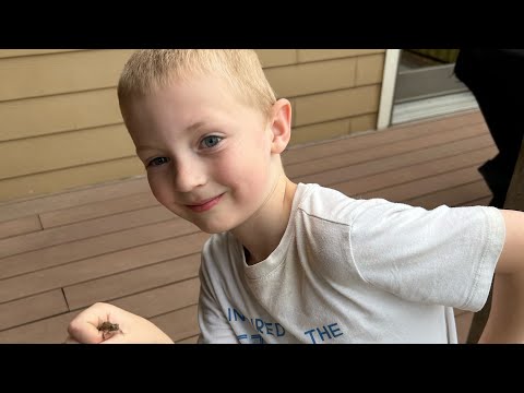 Baby Snake Discovery