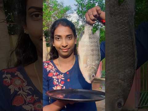 பருப்பு சாதத்துக்கு super ah irukkum மசாலா மீன் வருவல் | Masala Fish Fry #shorts #cooking