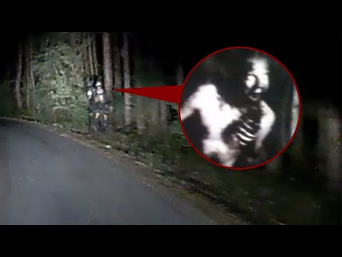 Terrifying Dashcam Encounters: Close Calls and Near Misses Caught on Camera