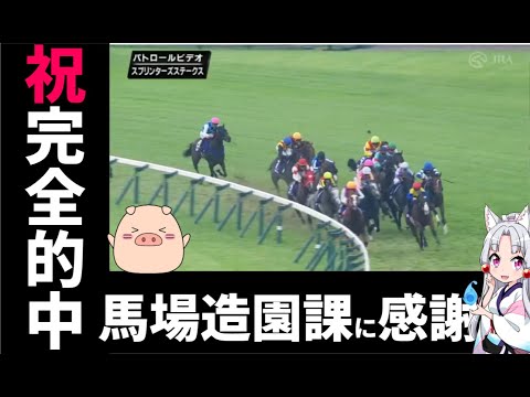 スプリンターズSの明暗を分けたインチキ馬場【レース振り返り】