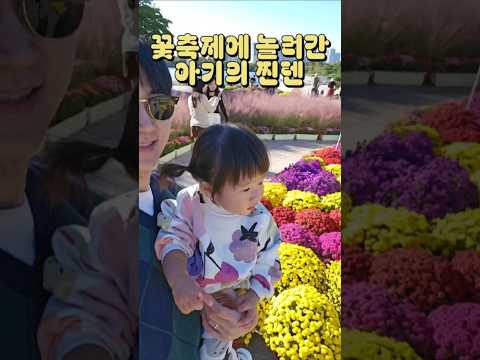 가을 꽃은 예쁘지만, 잠자리와 비둘기는 밉다 #아기 #육아 #고양가을꽃축제