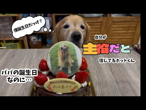 【パパの誕生日】それでも我が家の主役の可愛いホットくん