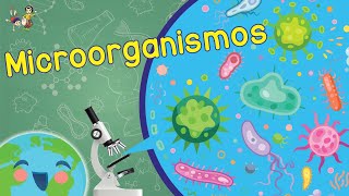 ¿Qué son los Microorganismos? (Videos Educativos para Niños)