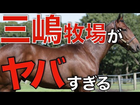 日高の名門、三嶋牧場の勢いがヤバすぎる！世界的馬主からも信頼を集める。