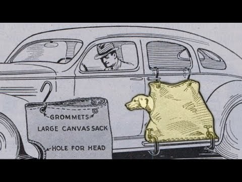 10 Weirdest Car Features Ever