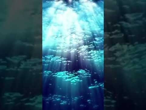 Under The Waves #ambience #deepfocus #relaxing #ambient #ambientmusic #meditation #dreammusic