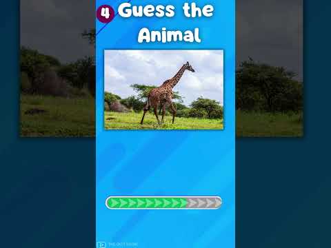 "How Good Is Your Knowledge of Animals? 🐾 Test Yourself Now!"|The Quiz Show