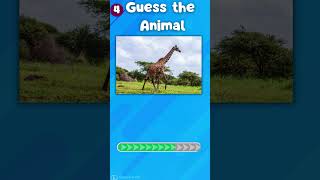 "How Good Is Your Knowledge of Animals? 🐾 Test Yourself Now!"|The Quiz Show