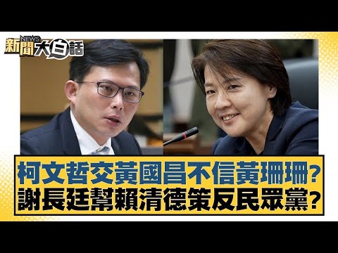 柯文哲交黃國昌不信黃珊珊？謝長廷幫賴清德策反民眾黨？【新聞大白話】20241230-2｜鄭村棋 羅智強 柳采葳