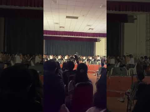 “如果可以” in a orchestra concert