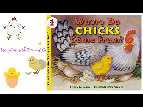 Where Do Chicks Come From? Baby Chick Hatching | Egg Hatching