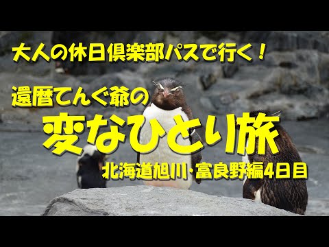 【還暦てんぐ爺の変なひとり旅　北海道旭川・富良野編４日目】旭川観光の定番スポットへ！【旭川グルメ】【大人の休日倶楽部】【北海道グルメ】【旭山動物園】