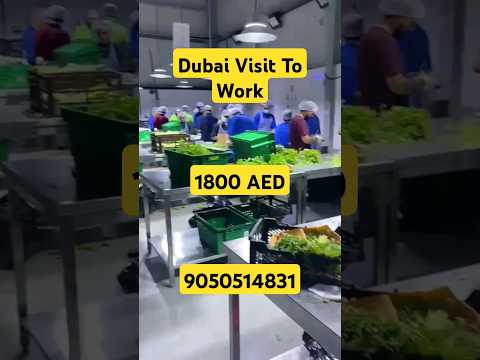 Dubai Visit to work | dubai employmentvisa |dubai tourist visa  | dubai salary #viral #shortsvideo