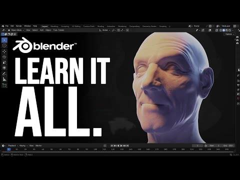 Become A Blender Pro!