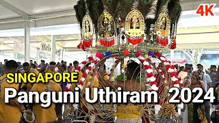 Singapore  Panguni Uthiram 2024 | Holy Tree Sri Balasubramaniar Temple | Singapore Hindu Festival