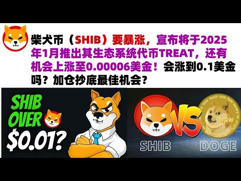 柴犬币（SHIB）要暴涨，宣布将于2025年1月推出其生态系统代币TREAT，还有机会上涨至0.00006美金！会涨到0.1美金吗？加仓抄底最佳机会？#shib币#柴犬币#屎币行情分析