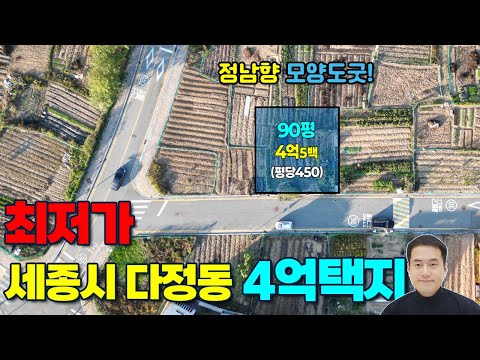 (초급매) 세종시 단독주택지 매매 최저가! 90평 4억5백 다정동 전원주택지 급매 정남향 토지모양 토지위치 최상 장군면 전원주택지 보다 저렴한 강력추천매물 세종스타부동산