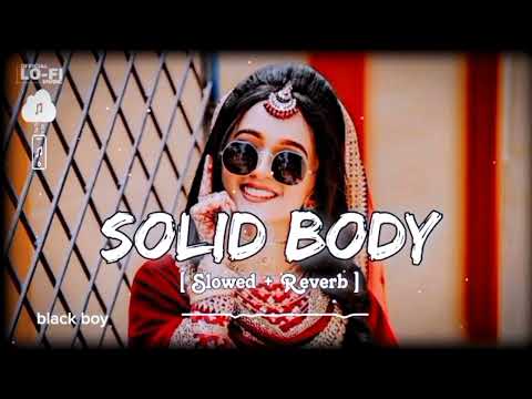 SOLID BODY [Slowed + Reverb] New Remix Songs 2024 | Bangla Music Lofi | New Songs 36 July