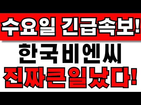 [한국비엔씨 주가전망] 주주님들 필수시청! 앞으로 이렇게 대응하세요