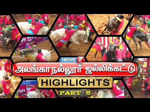 Highlights 5 : அலங்காநல்லூர் ஜல்லிக்கட்டு 2025 | Alanganallur Jallikattu 2025 | Jallikattu 2025