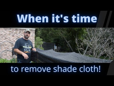 When it's time to remove shade cloth!