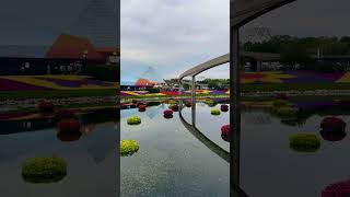 Epcot Garden Festival 🌼#disney #epcot #epcotflowerandgardenfestival #disneyworld #flowers #garden