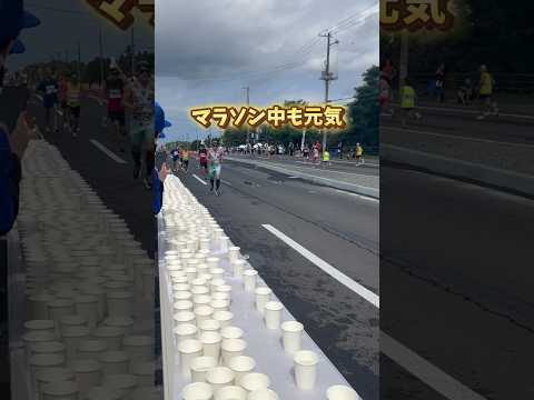 これでもほんとに42.195km走ってる途中ですww