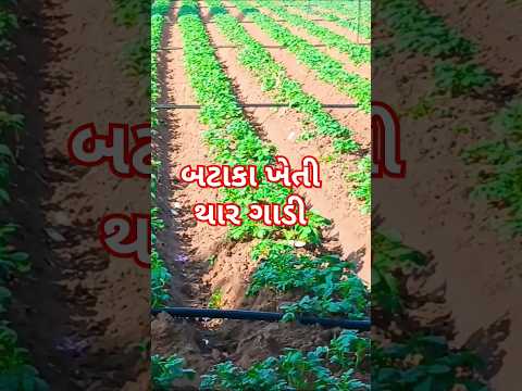 થાર ગાડી🙏 #youtubeshorts #song #newsong #shorts #short #viralshort #viralshorts #funny #farming #yt