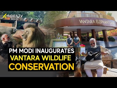 PM Modi Inaugurates Vantara Wildlife Conservation | 4sides tv english