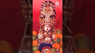 548 #vijayadasami #durgapuja #dasara #festival #durga #pooja #durgamaa #trending #music #song #wwe