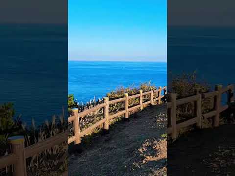 [제주여행]아름다운제주🌴☘️❤️오랜만에 오른 송악산정상 미친 바다색이 더해져 변함없이 환상적인 풍경이예요#제주여행#송악산#산방산#한라산#형제해안로#서귀포여행#jeju#shorts