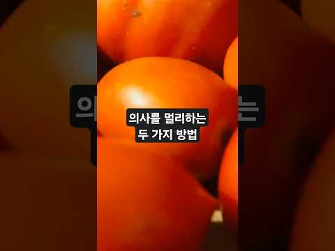 집에서는 토마토, 밖에서는 자전거 – J. A. 체이스 #토마토 #엔돌핀 #자전거명언