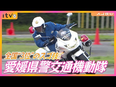 【全国三位】「白バイ隊」のスゴ技とは!? 愛媛県警交通機動隊の運転技術に迫る